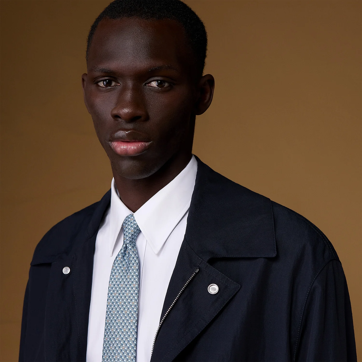 HERMES Balade en Foret tie - Image 2