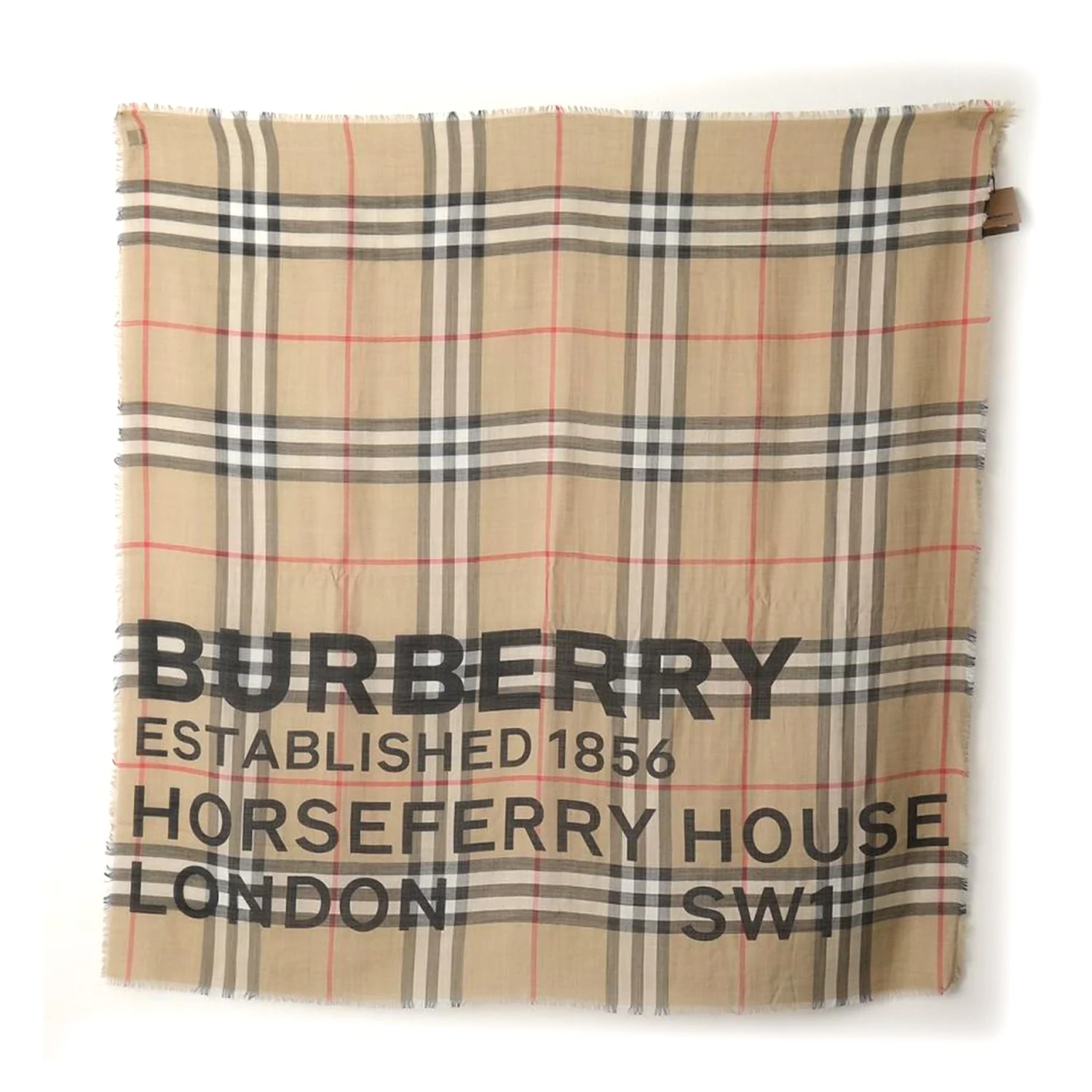 8035555 A7026 BURBERRY WOMEN SCARF - Image 2
