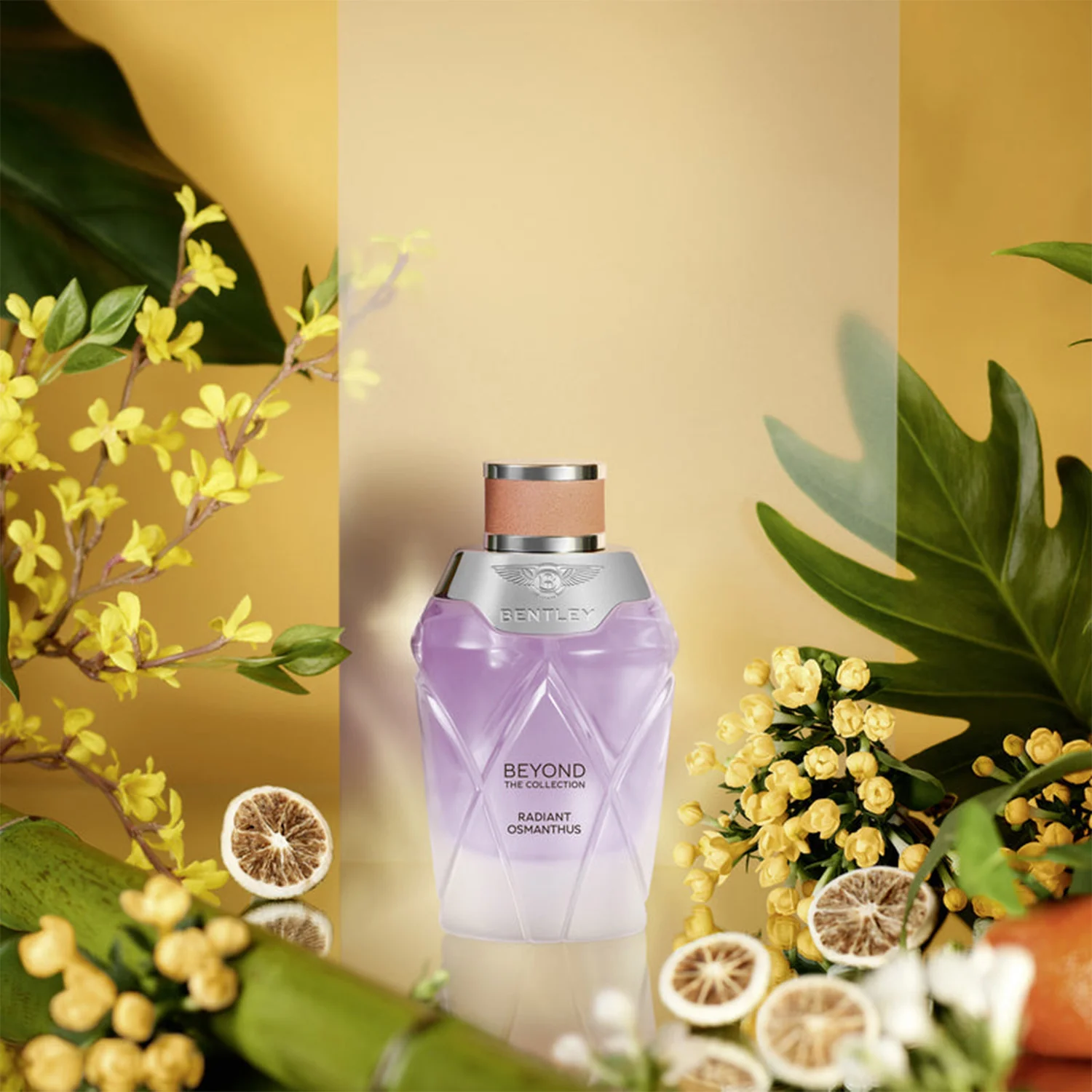 BENTLEY BEYOND THE COLLECTION RADIANT OSMANTHUS 100ML - Image 3
