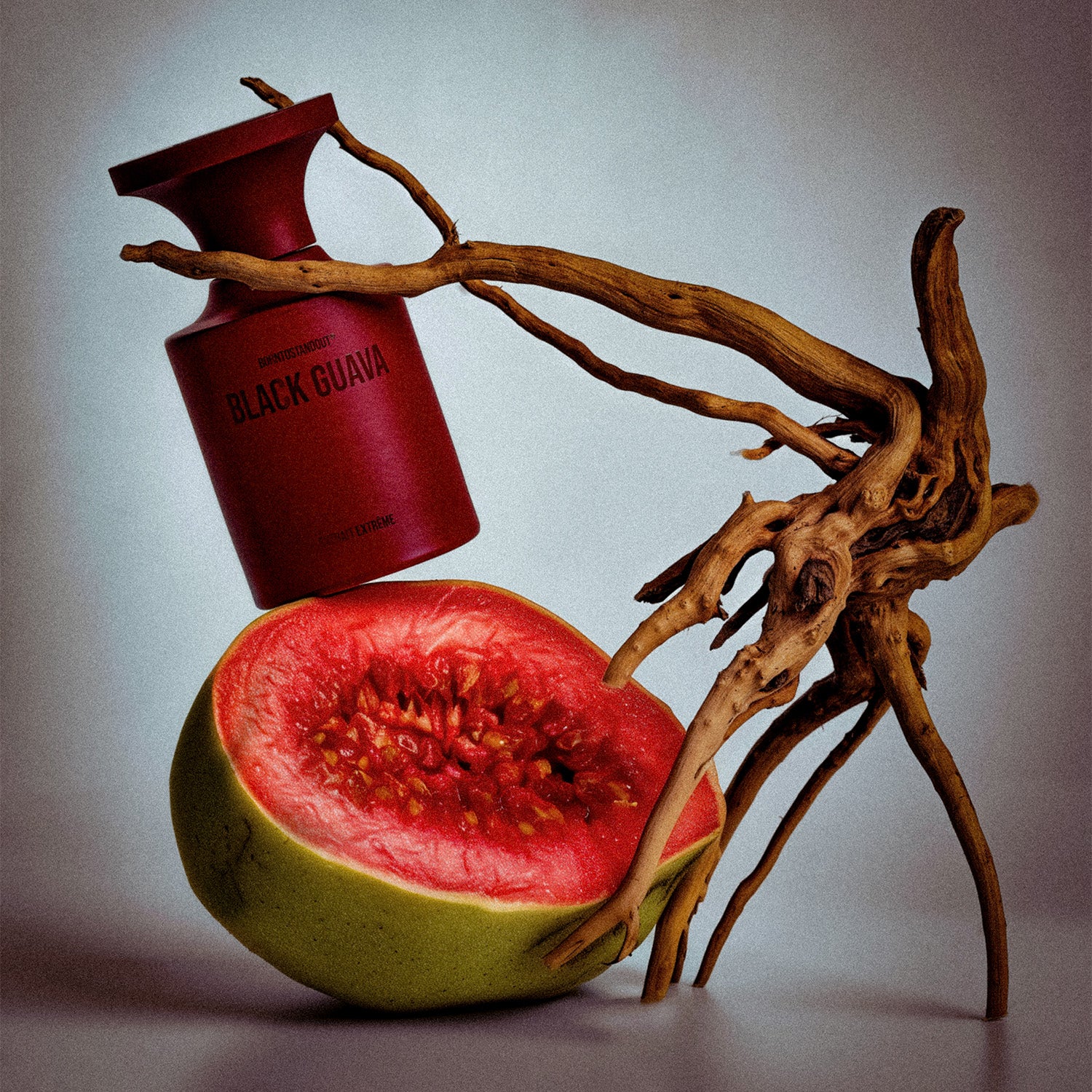 BORNTOSTANDOUT BLACK GUAVA EXTRAIT EXTREME 50ML - Image 3