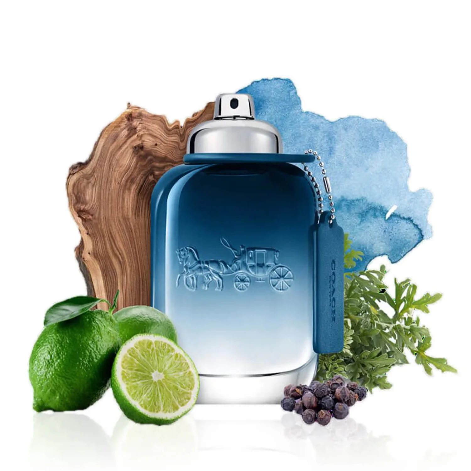 COACH BLUE MEN EDT 100ML - Image 3