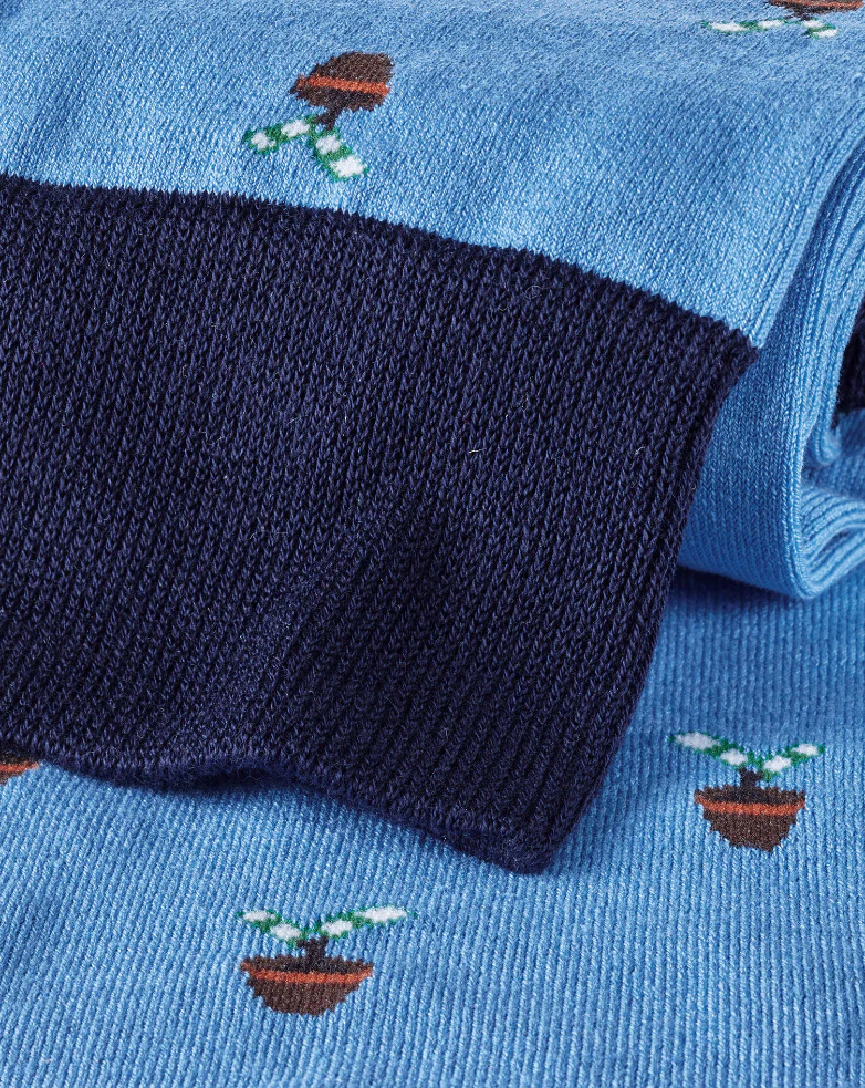 CORNFLOWER BLUE MONEY DOESN'T GROW ON TREES MOTIF SOCKS - Image 2