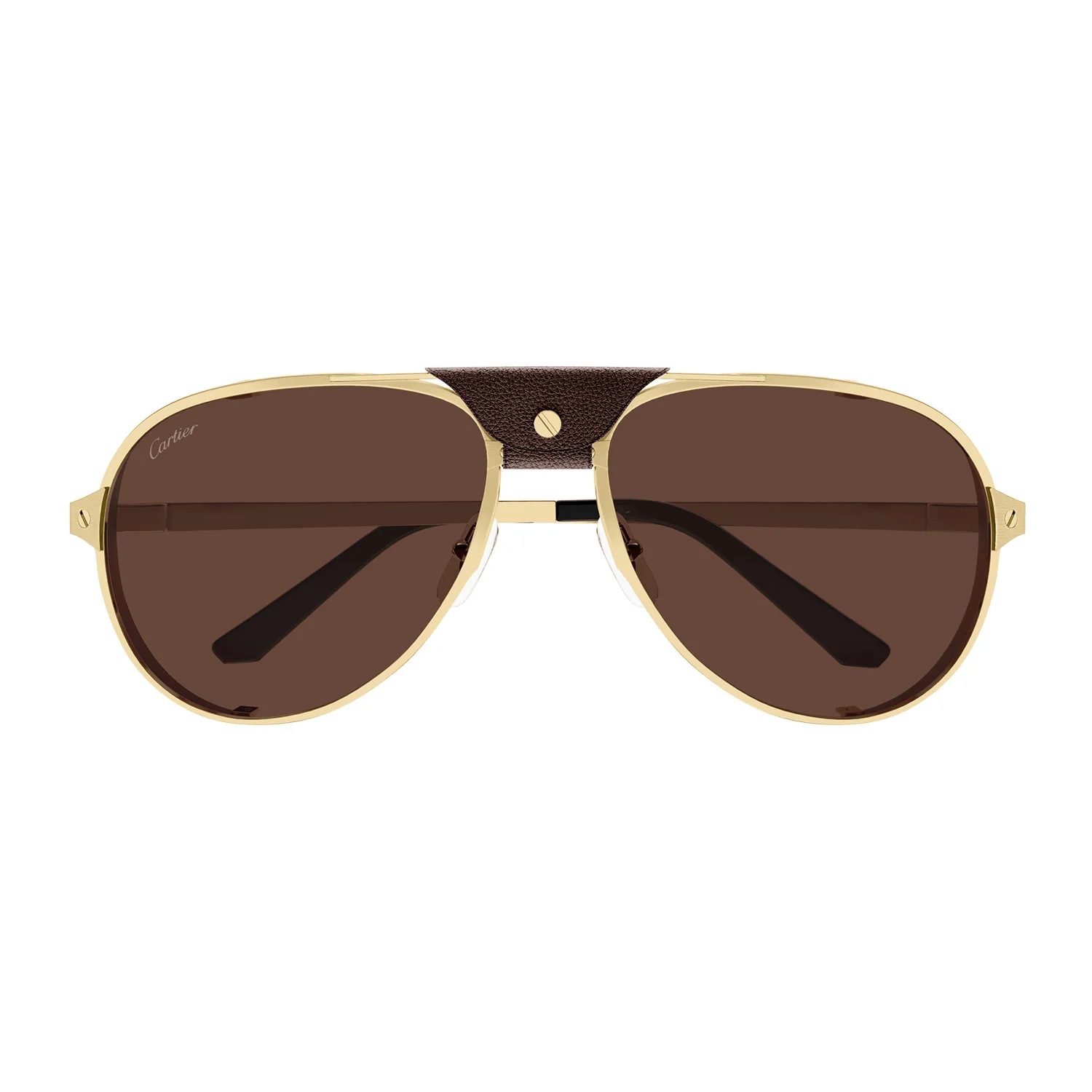 EXCEPTION Masculine pilot shape paired with the iconic Santos - Image 2