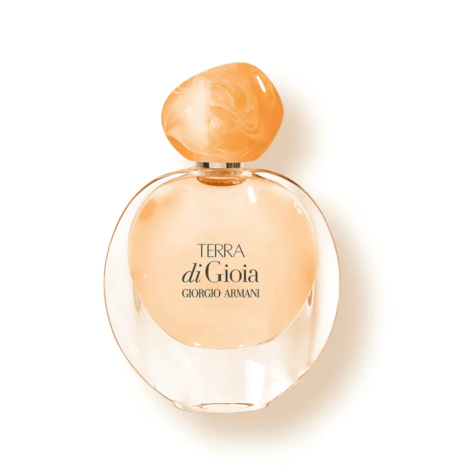 ARMANI TERRA DI GIOIA WOMEN EDP 100ML