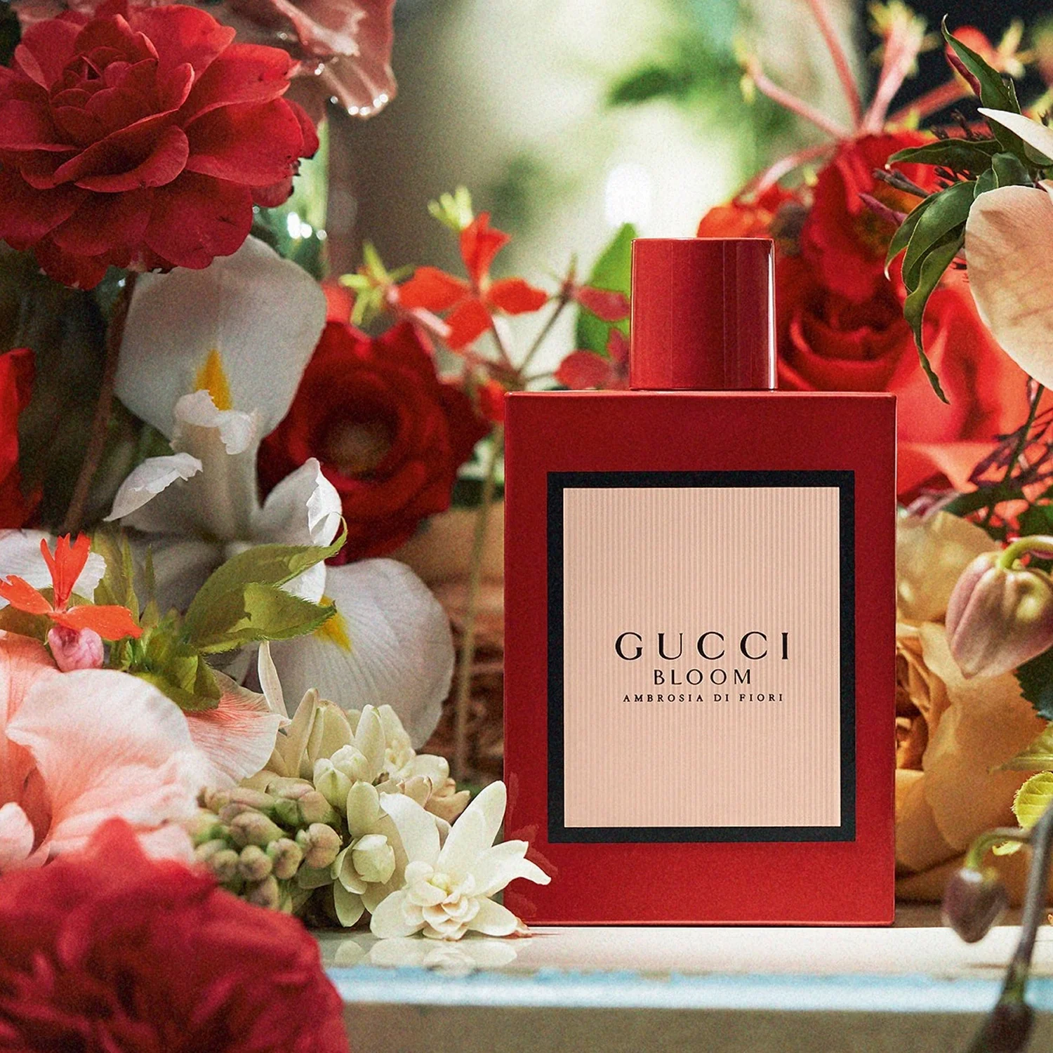 GUCCI BLOOM AMBROSIA DI FIORI INT WOMEN EDP 100ML - Image 2