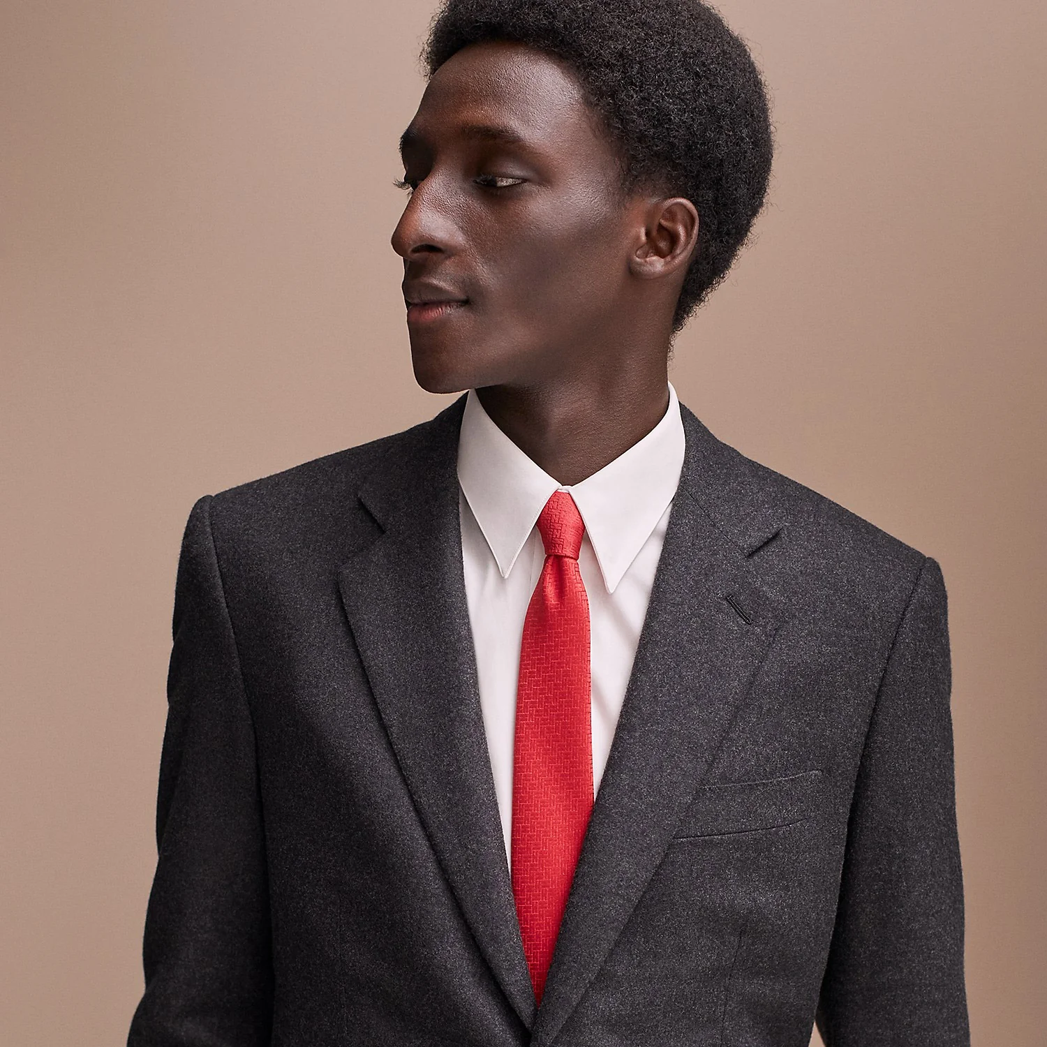 Hermes Faconnee H 24 Tie - Image 2