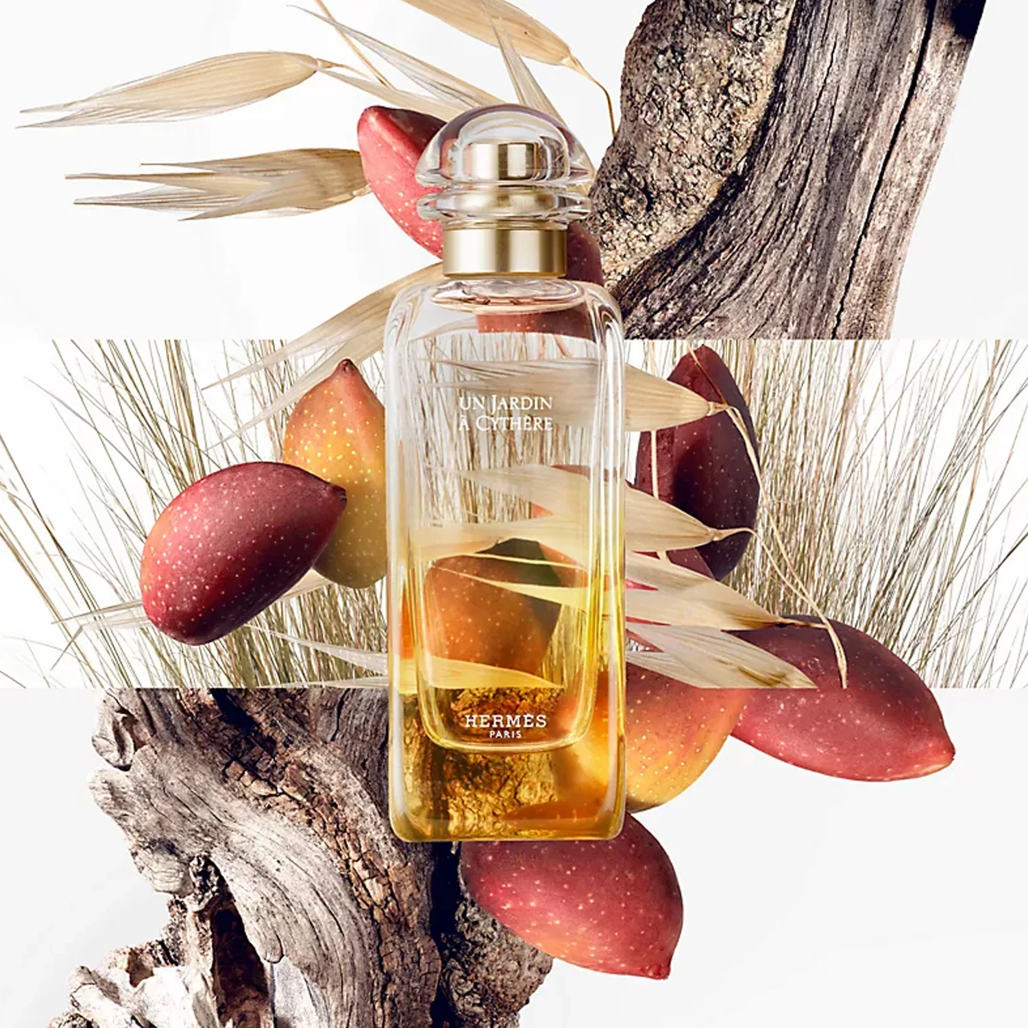 HERMES UN JARDIN A CYTHERE EDT 100ML - Image 3