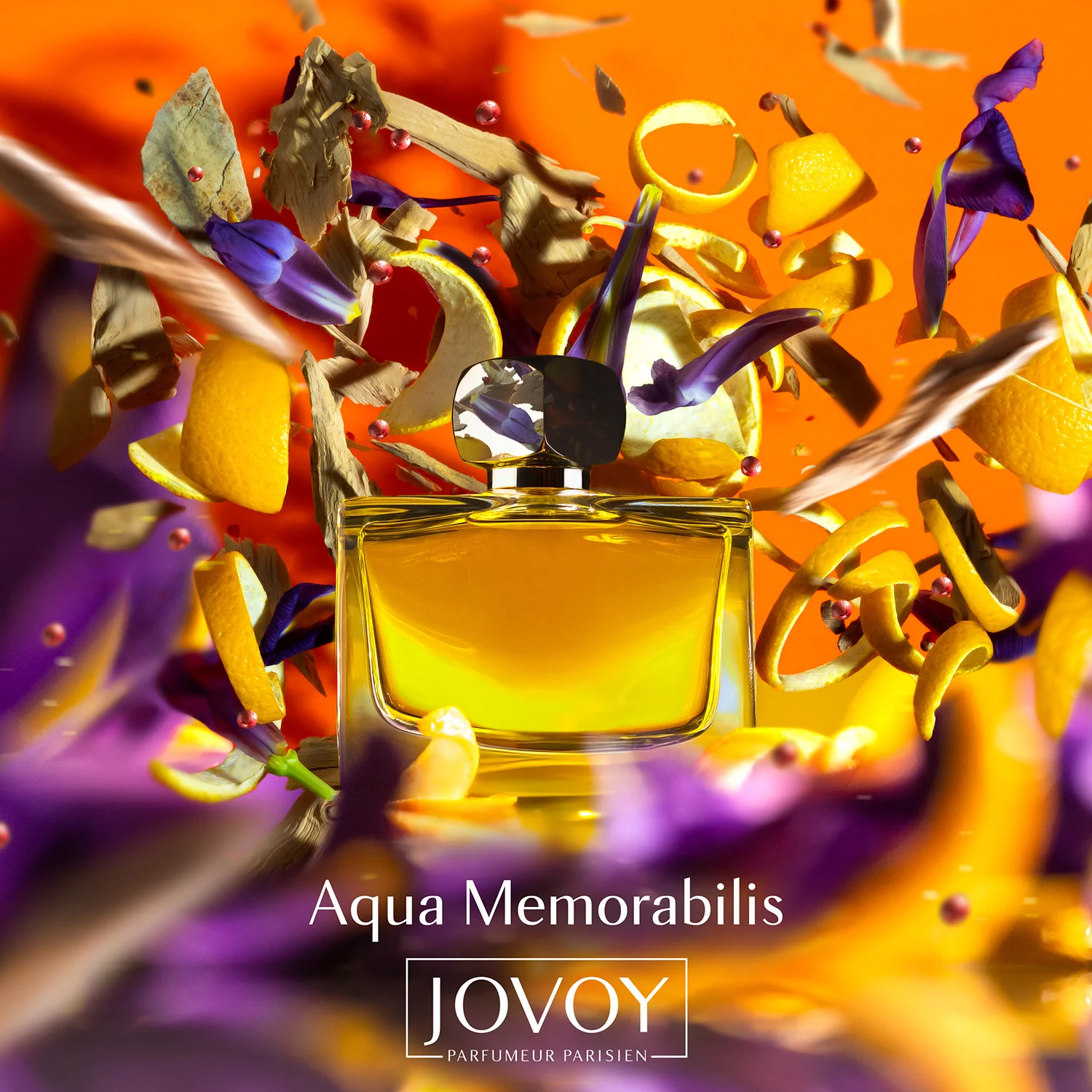 Jovoy - Aqua Memorabilis EDP 100ML - Image 3