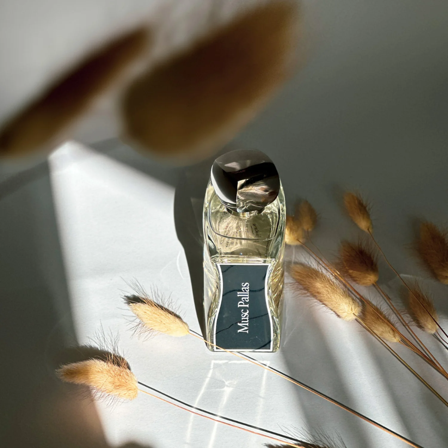 Jovoy - Musc Pallas EDP 100ML - Image 3