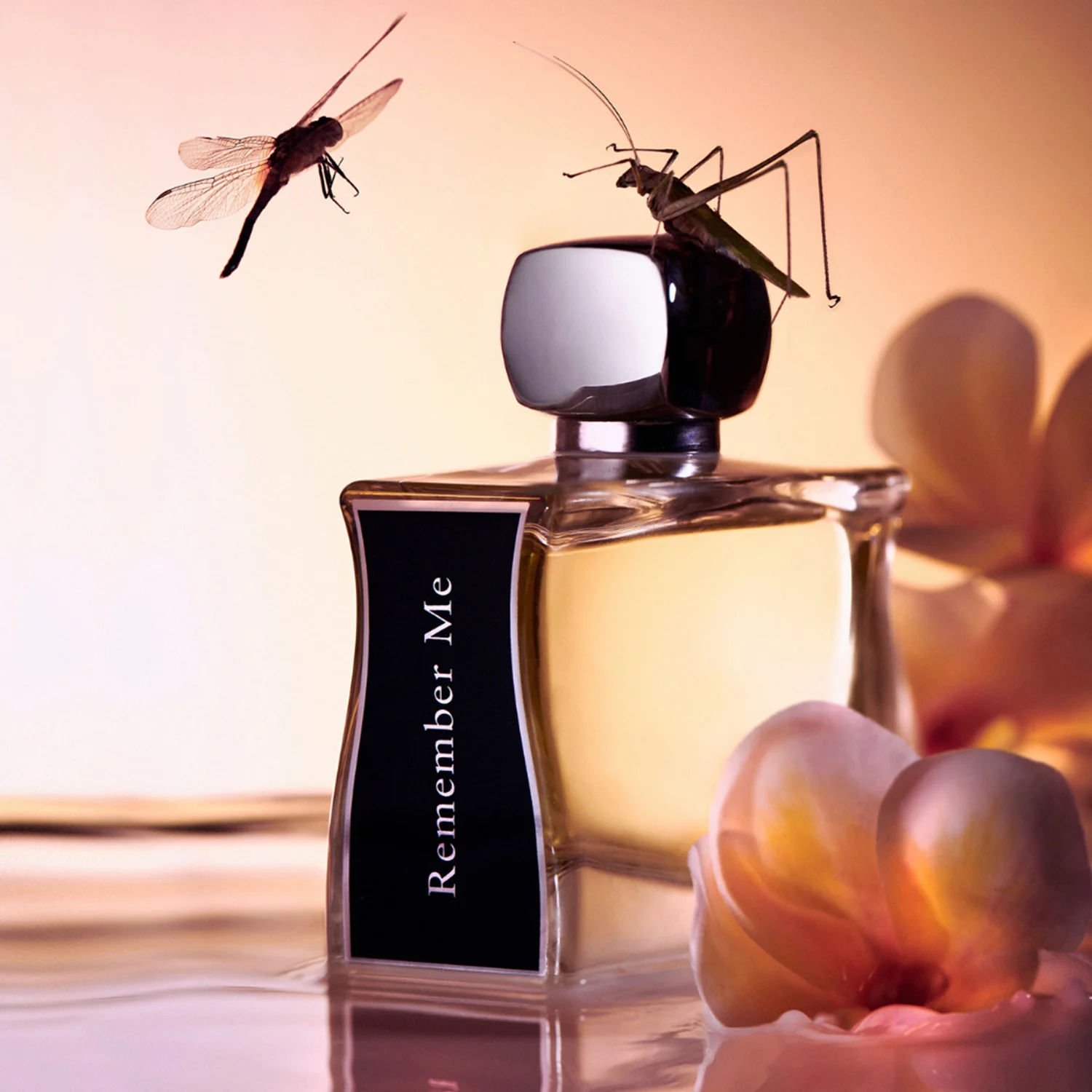 Jovoy - Remember Me EDP 100ML - Image 3