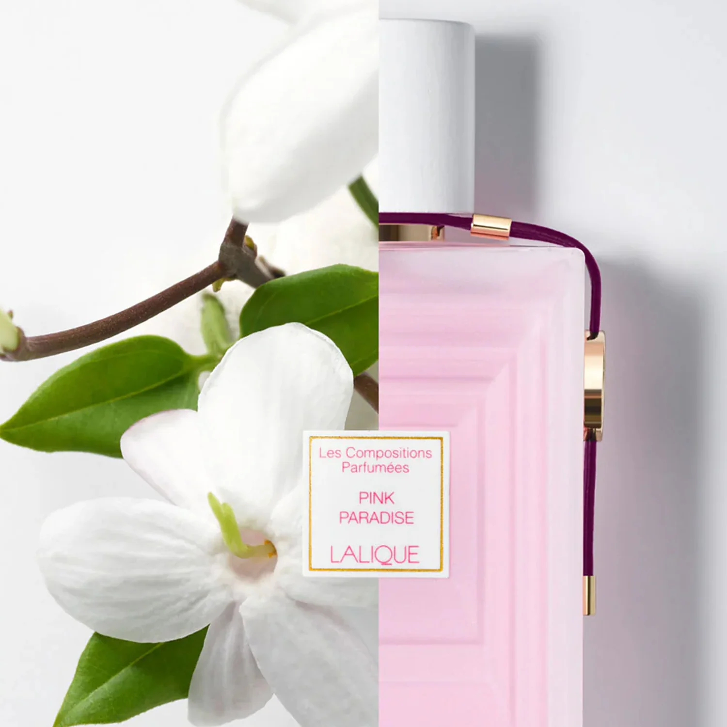 LALIQUE PINK PARADISE EDP 100ML - Image 3