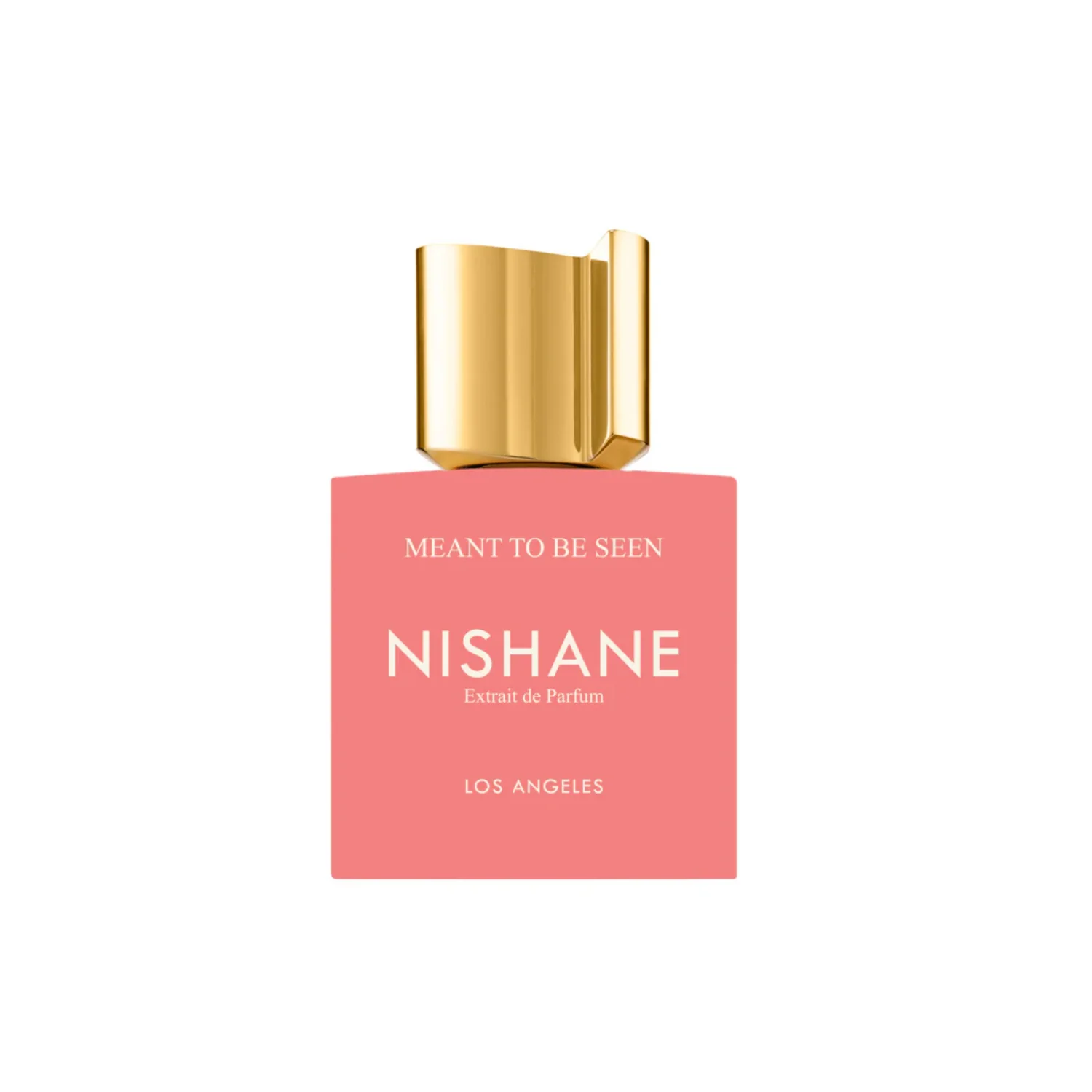 NISHANE MEANT TO BE SEEN 100ML