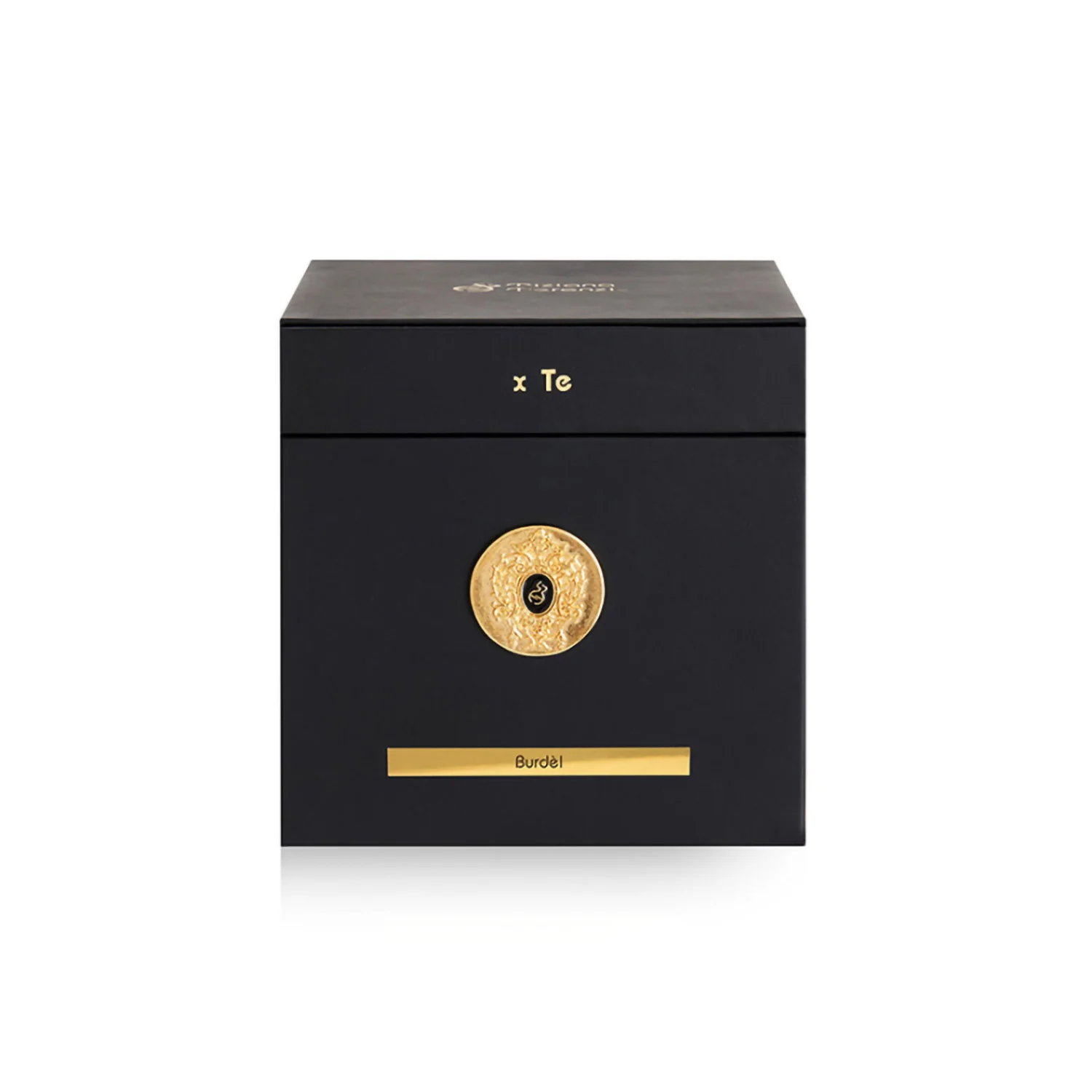 TIZIANA TERENZI BURDEL EDP 100ML - Image 4