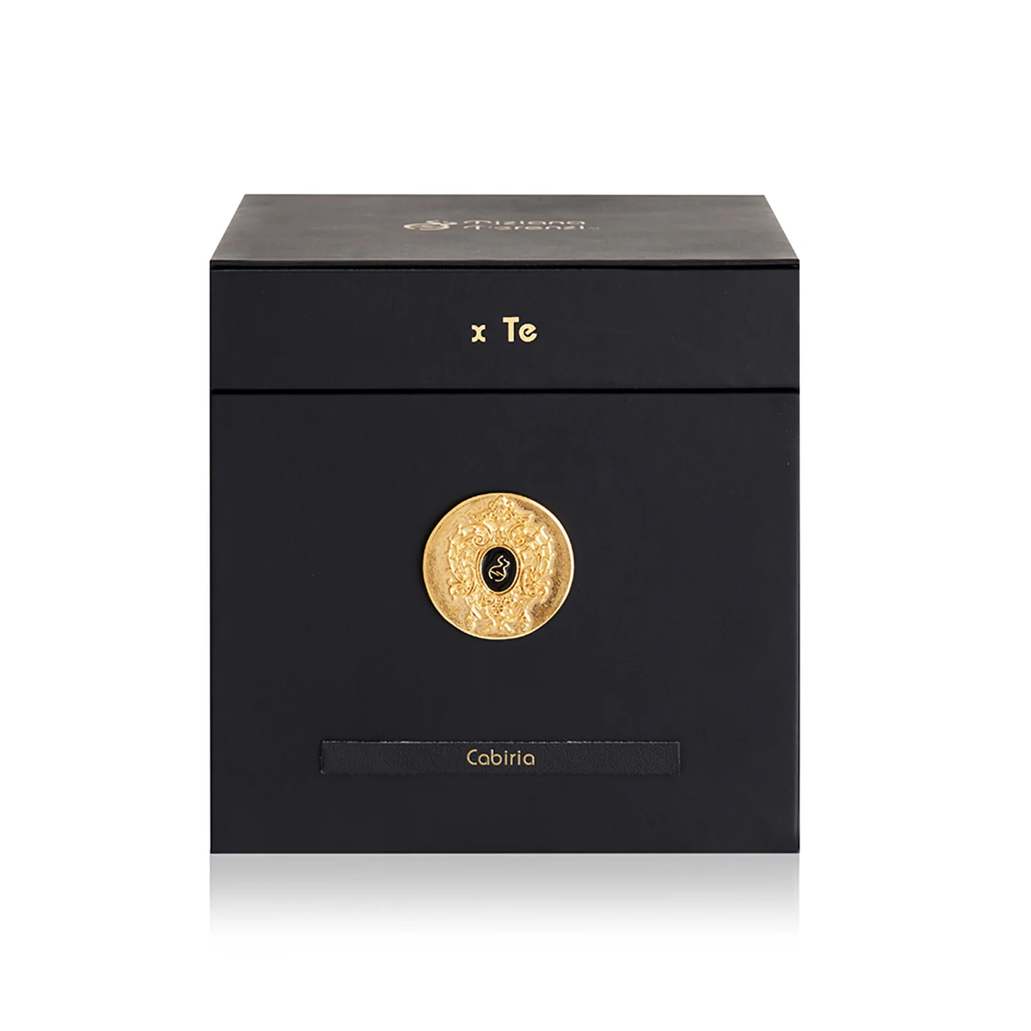 TIZIANA TERENZI CABIRIA EDP 100ML - Image 4