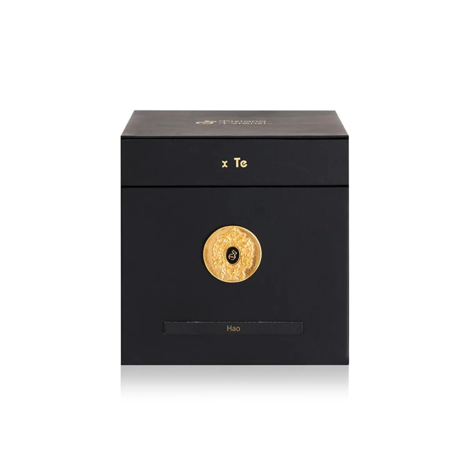 TIZIANA TERENZI HAO EDP 100ML - Image 4