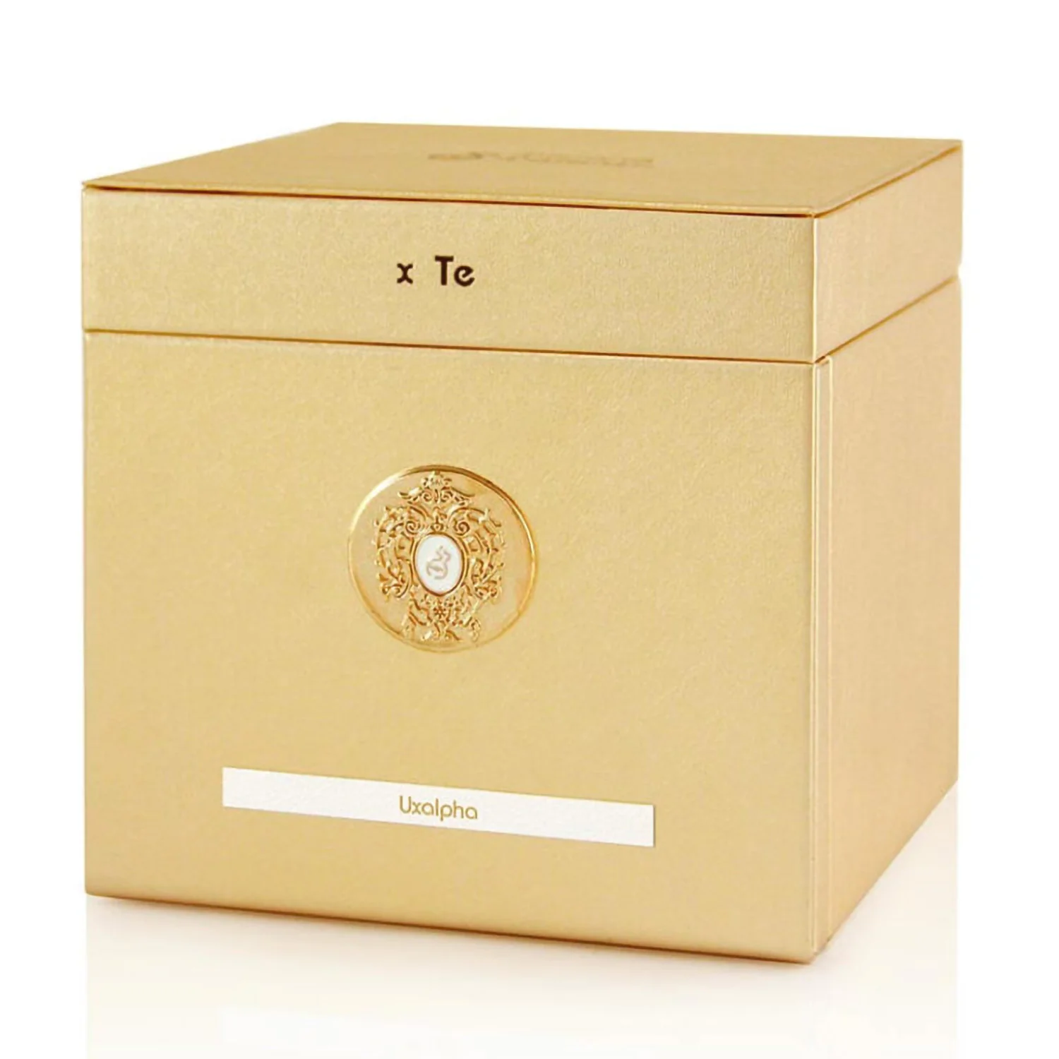 TIZIANA TERENZI UX-ALPHA EDP 100ML - Image 4