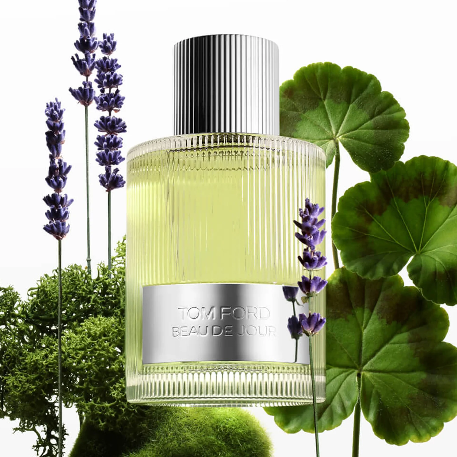 TOMFORD BEAU DE JOUR MEN EDP 100ML - Image 3