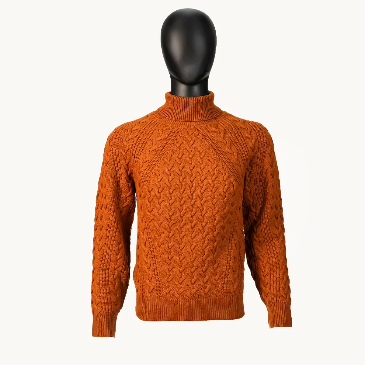 UAM73 ACT320 VJC ZEGNA Men T-Neck SWEATER - Image 2